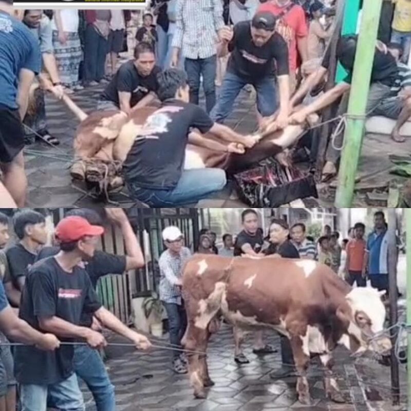 WA_1779880403098