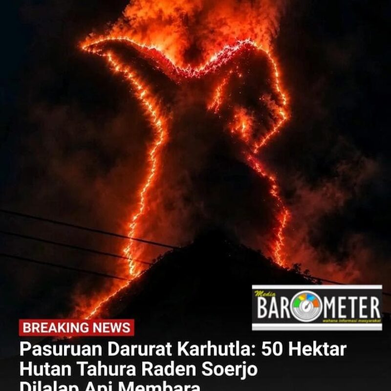 WA_1792170411758
